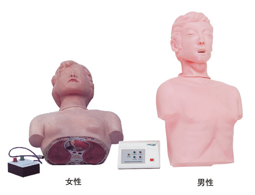 半身心肺復(fù)蘇訓(xùn)練模擬人(簡(jiǎn)易型)