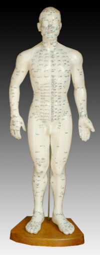 人體針灸模型50CM