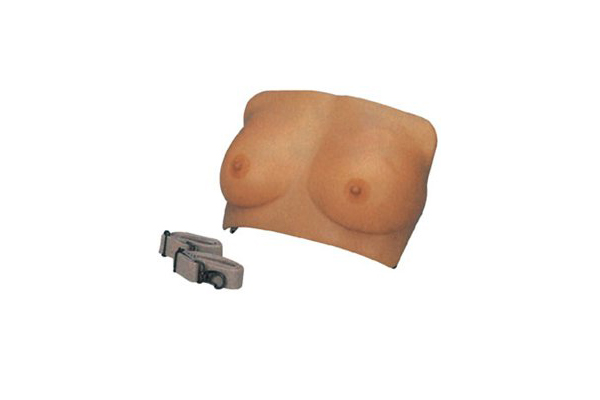 高級乳房檢查模型